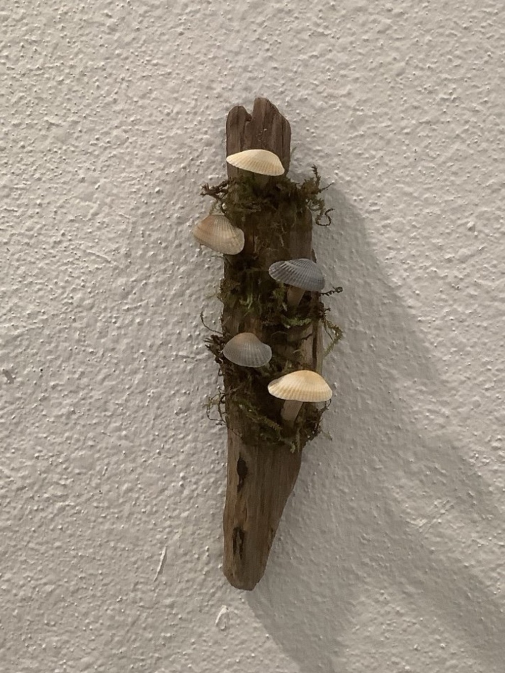 Driftwood Art, Driftwood & Seashell Mushrooms , Mushroom Art